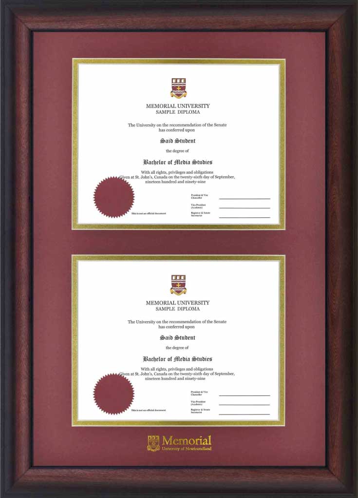 University diploma frame double briarwood
