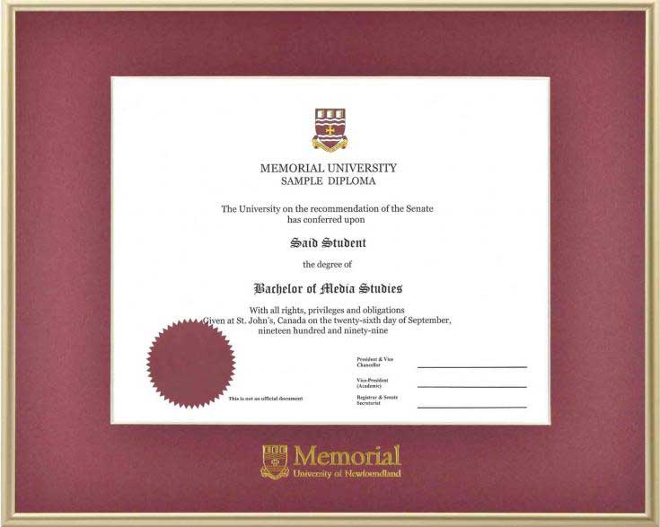 University graduation frame with frosted gold edges